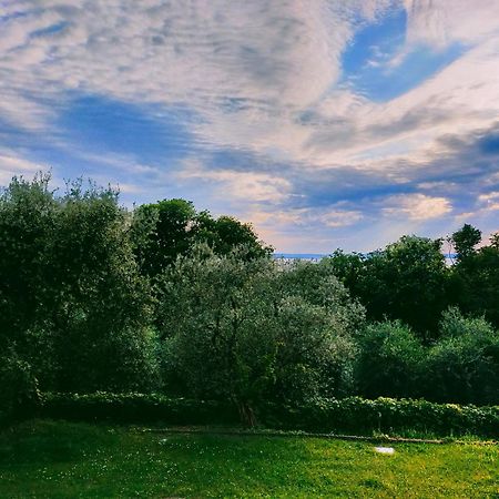 Appartamenti Hopfen Лацизе Екстер'єр фото